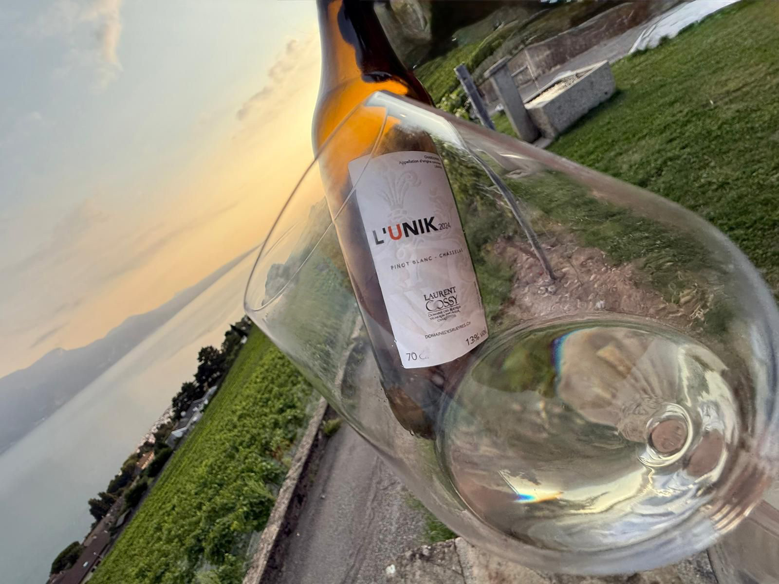 LaurentCossy DomainedesRueyres vue
